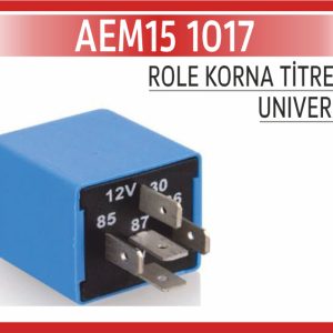 ROLE KORNA TİTRETİCİ 12V