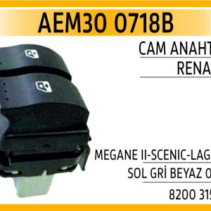 CAM ANAHTARI RENAULT MEGANE II-SCENIC-LAGUNA SOL G
